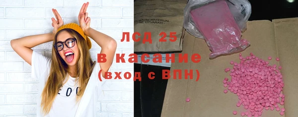 стаф Елабуга