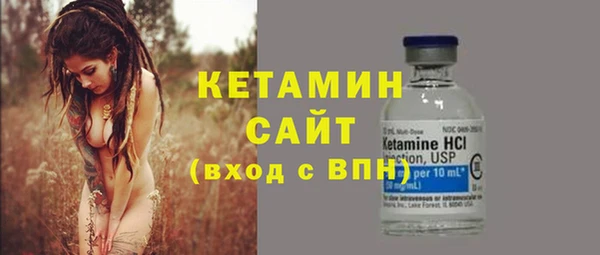 сатива Заводоуковск