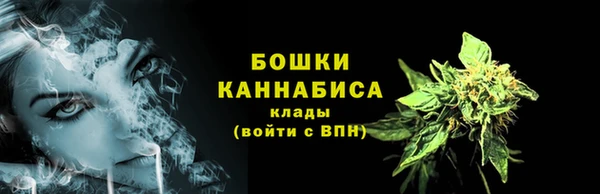 сатива Заводоуковск