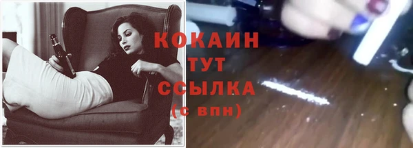 сатива Заводоуковск