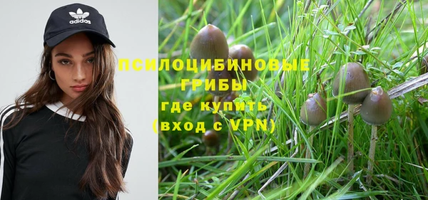Альфа ПВП Заволжье