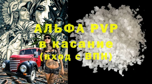 стаф Елабуга