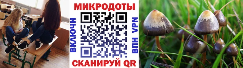 Псилоцибиновые грибы Cubensis  Купить где  Мегион 