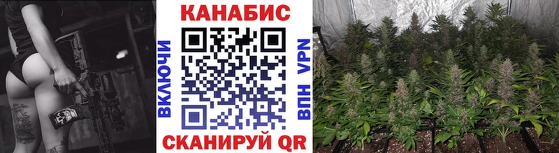 Каннабис AK-47  Купить где  Мегион 